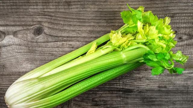 ilustrasi jenis dedaunan yang cocok digunakan untuk olahan masakan/Vova Shevchuk/shutterstock