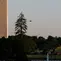 White House atau Gedung Putih di Amerika Serikat. (File/AFP)