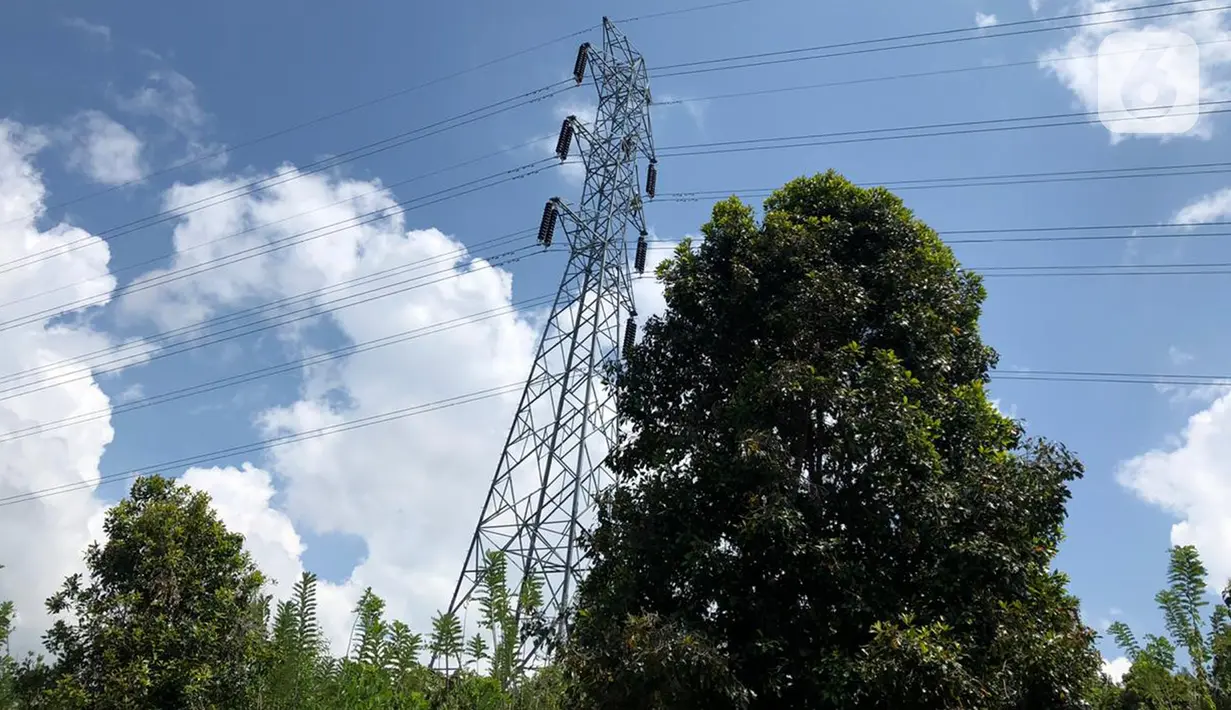 Transmisi sepanjang 797 kilometer sirkuit (kms) ini membawa surplus listrik 400 megawatt (MW) dari Sulsel ke Sultra. (Dok: Humas PLN)