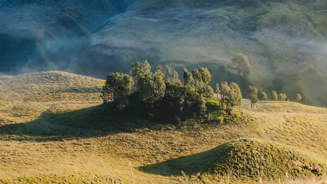Bukit Teletubbies Bromo dan Padang Rumput Savana