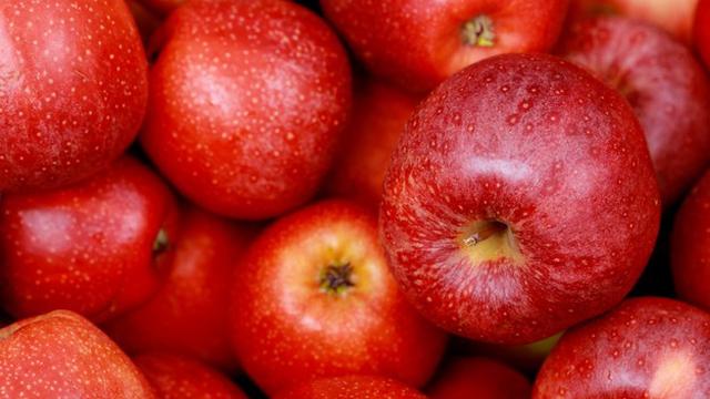 Gambar Ilustrasi Apel Fuji