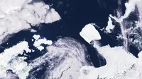 Gambar satelit yang diambil oleh satelit Copernicus Sentinel-3 pada 15 November 2023 dan dirilis oleh Maxar Technologies pada 26 November 2023, menunjukkan gunung es A23a (CR) di dekat Pulau Joinville (CL), di Samudra Selatan. Gunung es terbesar di dunia, yang terpisah dari garis pantai Antartika pada 1986, kini mulai bergerak setelah lebih dari 30 tahun. Luasnya hampir 4.000 km persegi (1.500 mil persegi), lebih dari dua kali luas London Raya, dan tebalnya kira-kira 400 m (1.312 kaki). (HANDOUT / COPERNICUS SENTINEL-3 / AFP)