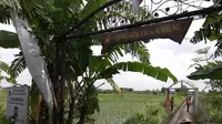 Sawah satu-satunya di Kota Denpasar boleh diperjualbelikan, asal... (Liputan6.com/Dian Kurniawan)