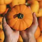 Ikon halloween ini ternyata punya banyak manfaat bagi tubuh kala sedang diet. (Foto: unsplash.com)