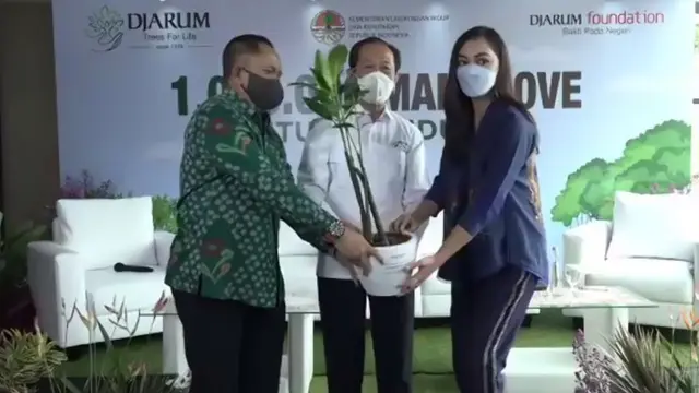 171 Ribu Hektare Kawasan Mangrove Indonesia dalam Kondisi Memprihatinkan