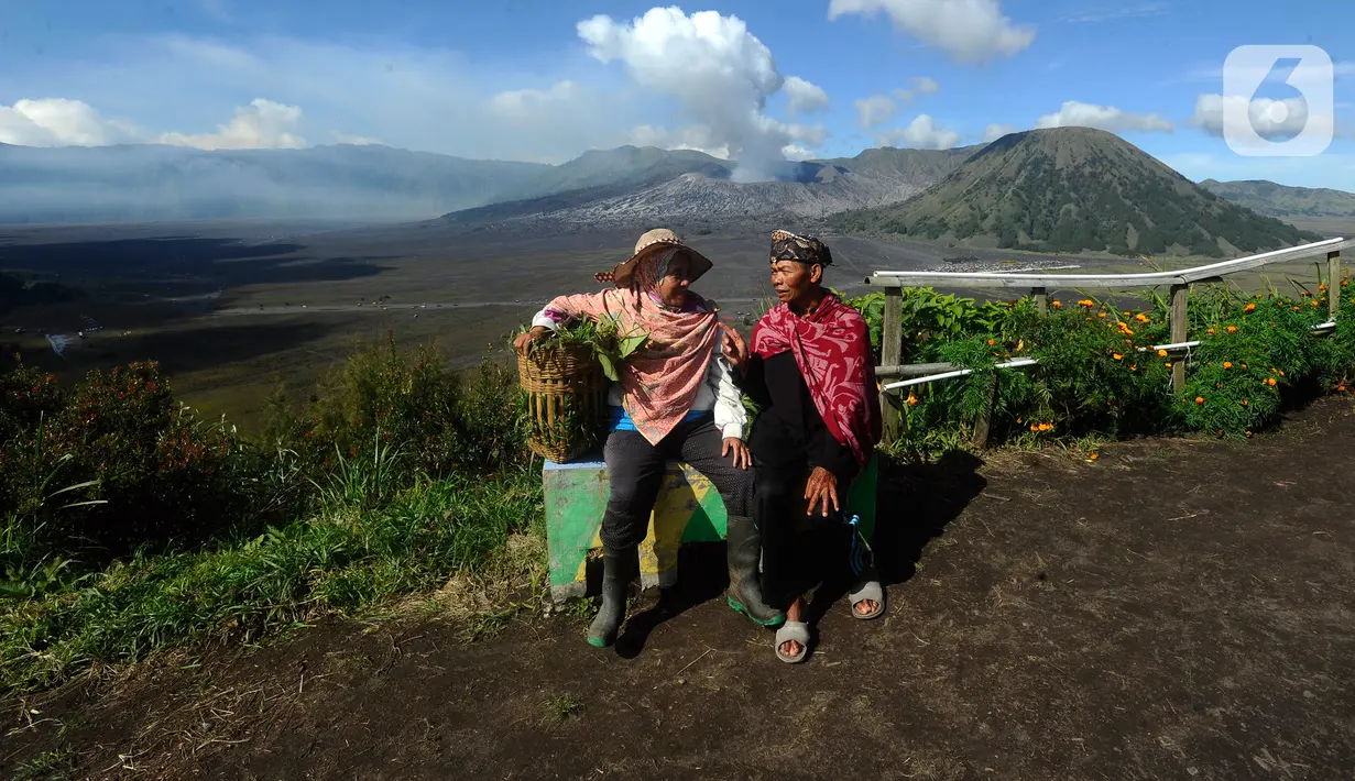 <p>Warga merawat tanaman daun bawang yang dapat dipanen setahun tujuh kali di kebun dengan latar belakang Gunung Bromo di Seruni Point, Pasuruan, Jawa Timur, Minggu (30/4/2023). (merdeka.com/Arie Basuki)</p>