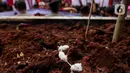 Massa aksi juga membawa tikus sebagai simbol pelaku korupsi di Indonesia. (Liputan6.com/Herman Zakharia)