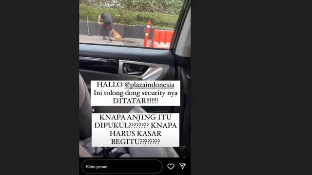 Kabar Terkini Anjing Dipukul Sekuriti Plaza Indonesia: Dokter Hewan Beberkan Kondisi Anjing Penjaga Plaza Indonesia Berusia 2 Tahun Bernama Fay Usai Dipukul Sekuriti (Foto: Instagram Stories Marlene Hariman)