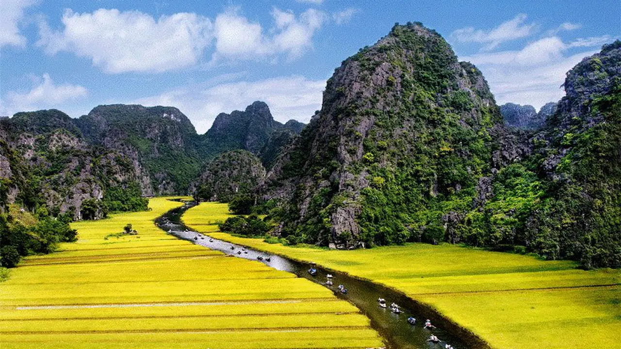 [Bintang] Vietnam