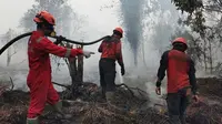 Petugas Manggala Agni berusaha memadamkan kebakaran lahan yang dekati rumah warga di Kabupaten Kampar. (Liputan6.com/M Syukur)