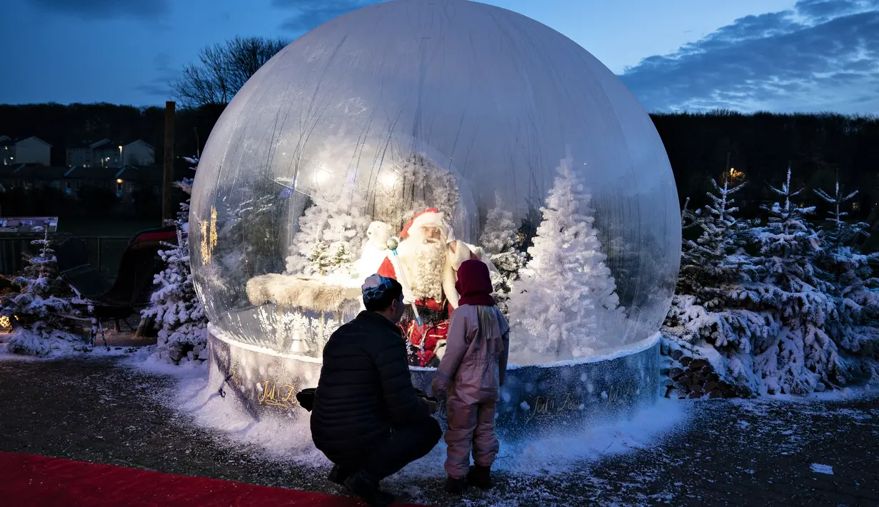 Seseorang yang berpakaian seperti Sinterklas terlihat dalam bola salju seukuran aslinya saat membuka musim Natal di Kebun Binatang Aalborg, di tengah krisis virus corona yang berlanjut, di Aalborg, Denmark pada Jumat (13/11/2020). (Henning Bagger / Ritzau Scanpix / AFP)