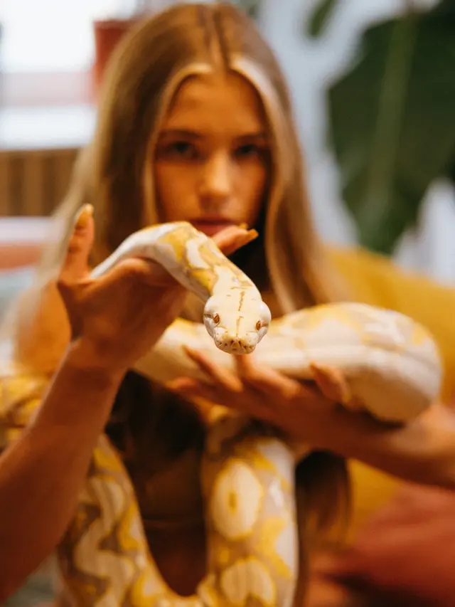 Arti Mimpi Ular Lainnya