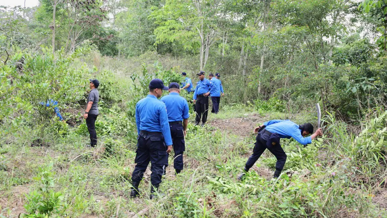 Ratusan Personel Ditpam BP Batam Tertibkan Garapan Ilegal di Hutan Lindung Muka Kuning