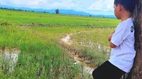 Ancam Kehidupan Petani Kecil, Bupati Muna Barat Minta Menteri Stop Izin 2 Perusahaan Besar