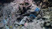 Sampah plastik di laut temuan Greenpeace Indonesia. (Foto: Greenpeace Indonesia)