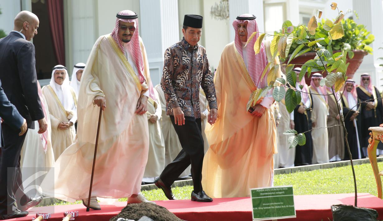 Raja Arab Saudi Salman bin Abdulaziz Al Saud didampingi oleh Presiden Joko Widodo saat akan menanam Pohon Ulin di halaman tengah Istana Merdeka, Jakarta, Kamis (2/3). (Liputan6.com/Angga Yuniar)