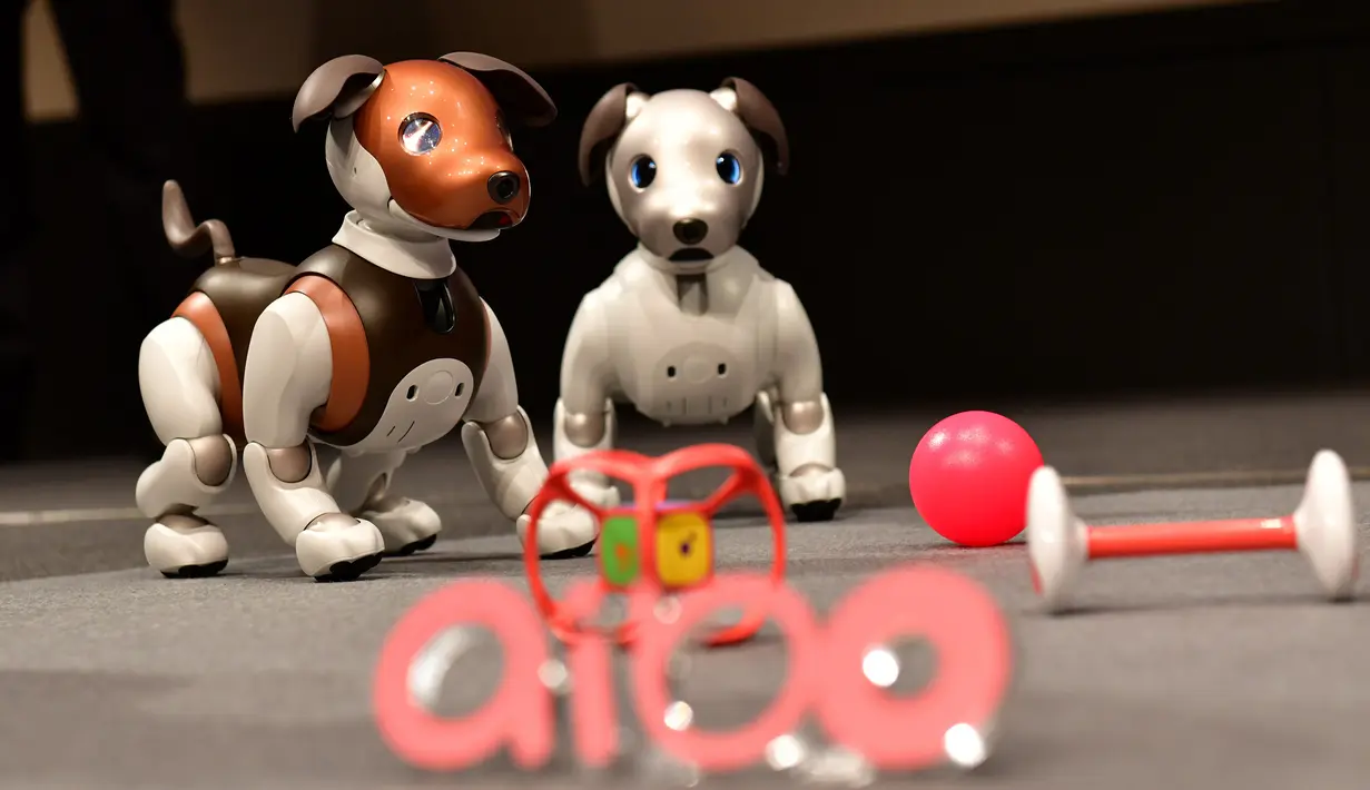 Robot versi ukuran anak anjing "Aibo" ditampilkan selama konferensi pers di Tokyo pada 23 Januari 2019. Perusahaan elektronik, Sony, memperkenalkan robot anjing yang dilengkap dengan kecerdasan buatan, kemampuan internet, dan kamera. (Kazuhiro NOGI/AFP)