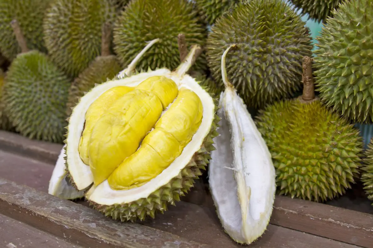 Kelar Melihat Ini Kamu Bakal Mikir 2 Kali Membeli Durian Kemasan!
