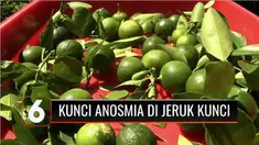 Anosmia, alias kehilangan kemampuan indra penciuman, banyak dialami pasien Covid-19. Kondisi ini membuat pasien tidak berselera makan dan bisa menyebabkan malnutrisi yang berujung turunnya berat badan.