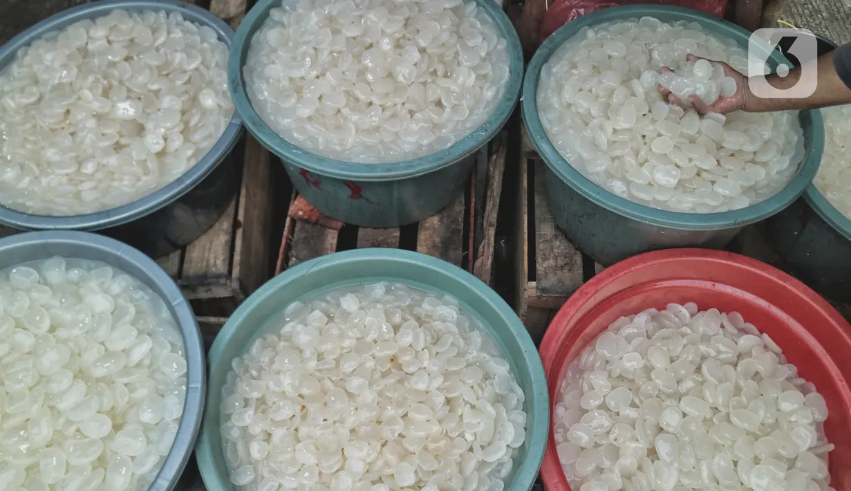 Pedagang menjajakan buah kolang-kaling di kawasan Pasar Induk kramat Jati, Jakarta Timur, Kamis (14/4/2022). Pedagang mengatakan penjualan kolang kaling di masa pandemi kali ini meningkat hingga 50 persen dibandingkan pada bulan Ramadan tahun lalu. (merdeka.com/Iqbal S Nugroho)