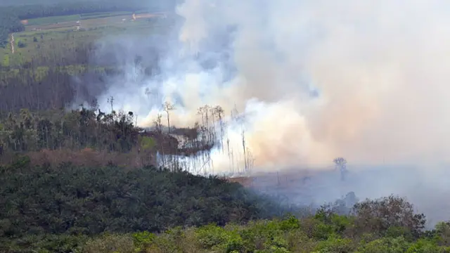 Wajah Sendu Riau Akibat Kabut Asap