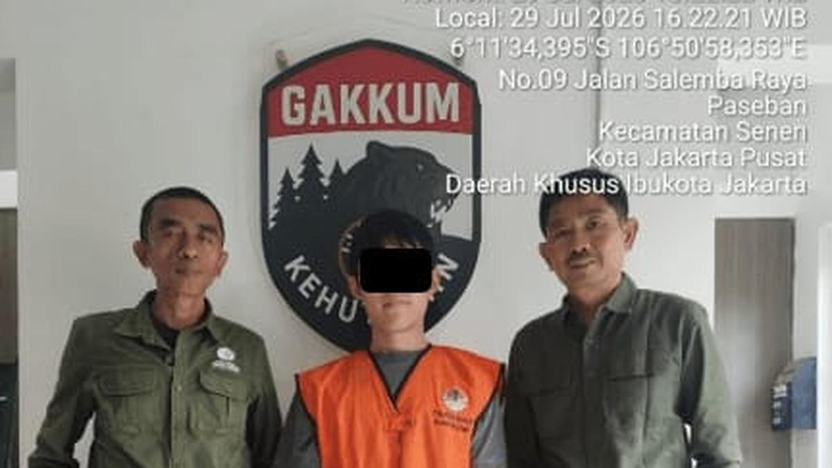 WN Korea Tinggalkan Indonesia Bawa Koper Berisi Biawak
