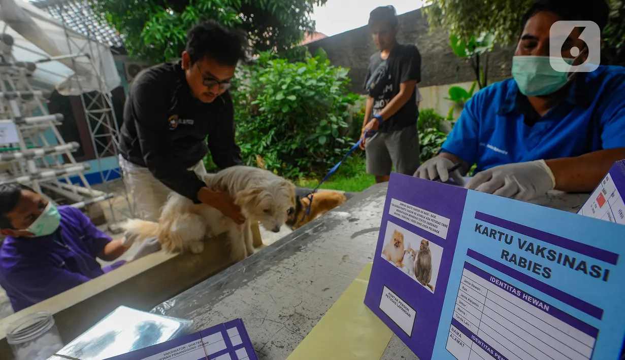 Pemerintah Kota Depok, melalui Bidang Peternakan dan Kesehatan Kota Depok DKPPP, menggelar Vaksinasi Rabies Massal Gratis se-Kota Depok. (merdeka.com/ Arie Basuki)