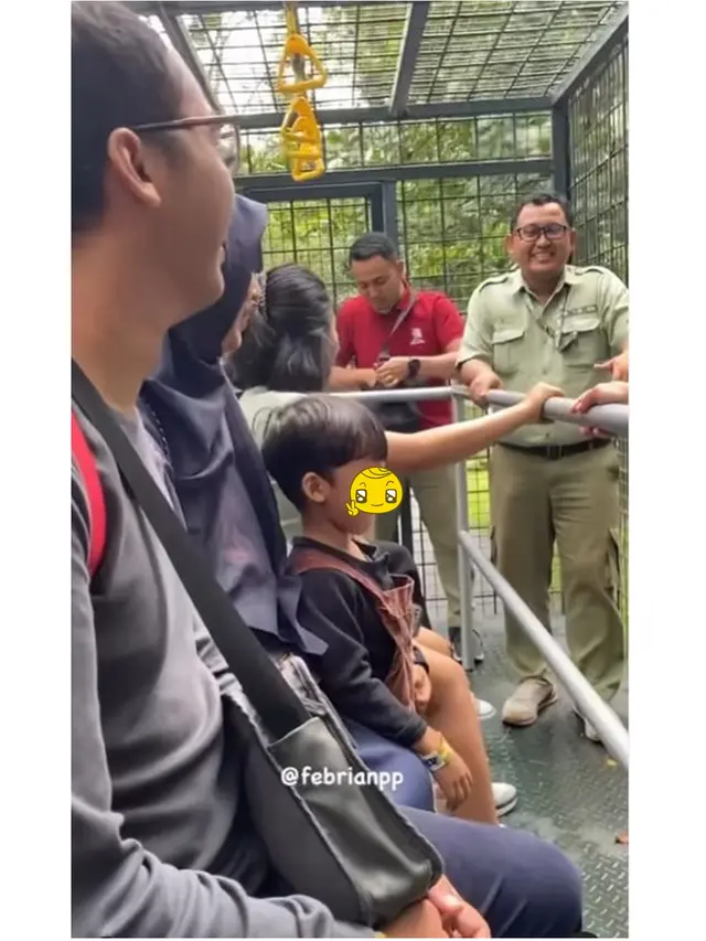 Kunjungi Taman Safari Lagi, Ini 6 Momen Damai 'Pelaku' dan Korban Tabrak Singa