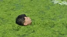 Seorang anak berenang di pantai yang dipenuhi tanaman ganggang di Qingdao , Provinsi Shandong , China , (18/7). Tanaman ganggang merupakan vegetasi yang tumbuh di air dan ganggang tumbuh tak terkendali. (Reuters)