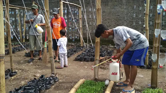 Cerita Karang Taruna Cirebon Mengubah Lahan Seram Jadi Rumah Pangan