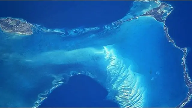 Courtesy Hollyscoop.com