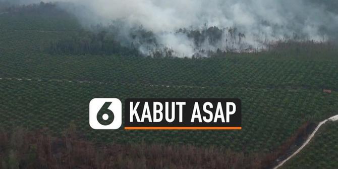 VIDEO: Pantauan Udara Kebakaran Hutan Palangka Raya