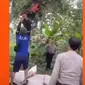 Motor wisatawan tersangkut di pohon karena rem blong. (source: enamplus.liputan6.com)