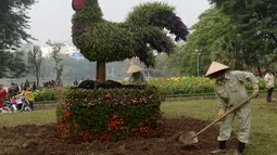 Pekerja menggemburkan tanah di sekitar tanaman hias berbentuk ayam terpajang di salah satu taman di Hanoi, Rabu (25/1). Rencananya tanaman bunga akan ditanam mengelilingi 'pohon ayam' tersebut. (AFP PHOTO / Hoang DINH NAM)