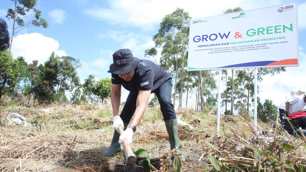 Jaga Kelestarian Alam Danau Toba, “BRI Peduli Grow & Green” Tanam 2.500 Bibit Pohon di Samosir