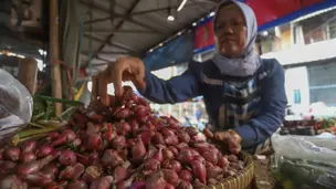Harga Bawah Merah di Pasar Tradisional Mulai Turun