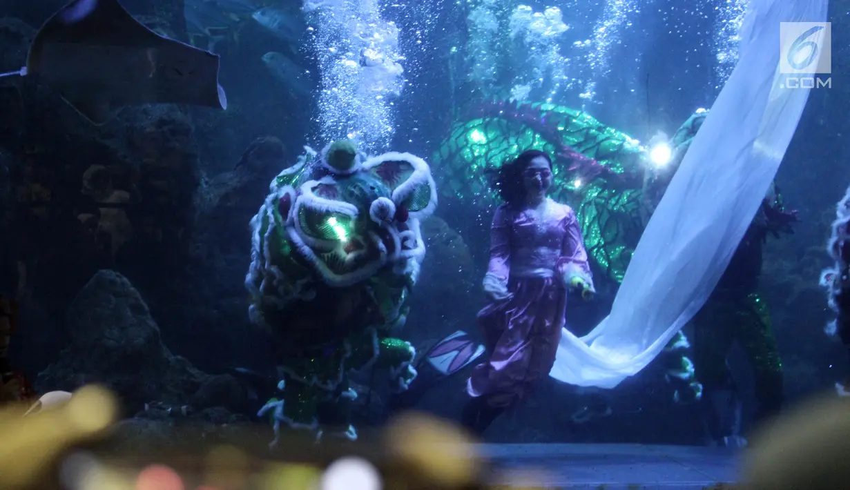 Seorang wanita berenang di antara barongsai dalam pertunjukan bertajuk The Battle of Yin Yang di Aquarium Utama Seaworld Ancol, Jakarta, Senin (12/2). Atraksi ini akan berlangsung pada 16-18 Februari. (Liputan6.com/Arya Manggala)