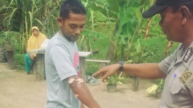 Buaya