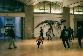 Patung kuno yang megah di lorong museum memberikan gambaran betapa visualnya proses belajar sejarah secara langsung. [Dok/Pexels.com/Anurag Jamwal].