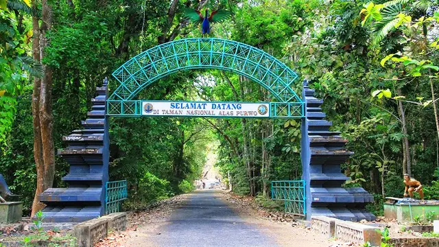 Taman Nasional Alas Purwo