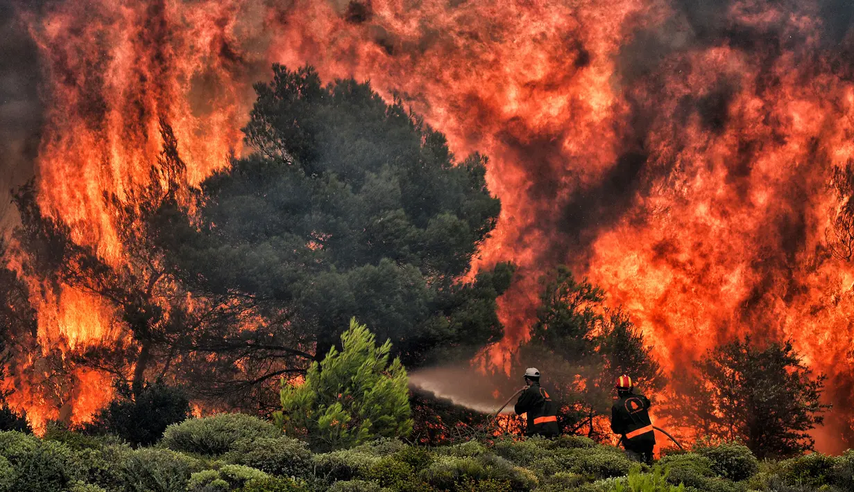 Petugas pemadam kebakaran mencoba memadamkan api saat kebakaran di Desa Kineta, dekat Athena, Rabu (24/7). Kebakaran hutan hebat telah menewaskan 74 orang di Yunani. (AFP Photo/Valerie Gache)
