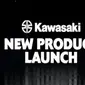 Motor Baru Kawasaki Meluncur 9 Juni 2022 (ist)