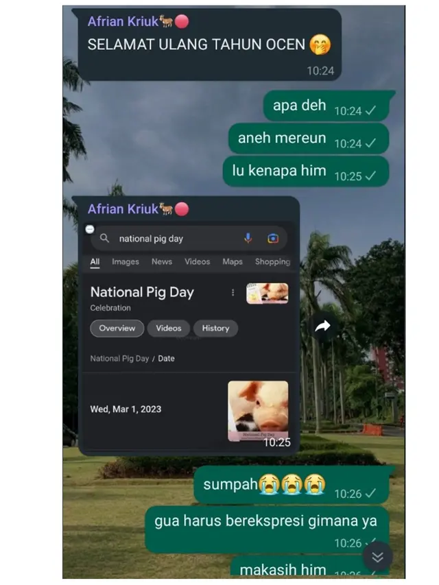 6 Chat National Pig Day ke Teman Ini Kocak, Ujungnya Bikin Emosi