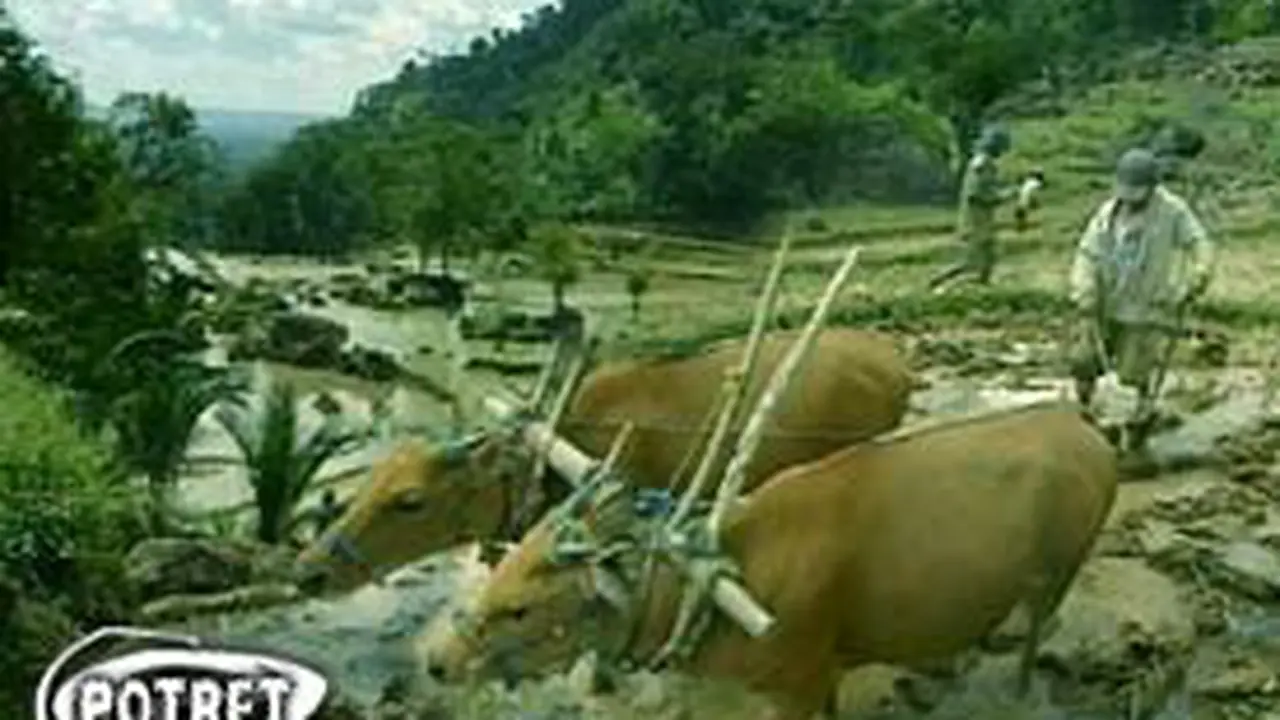 220603bPotret.jpg
