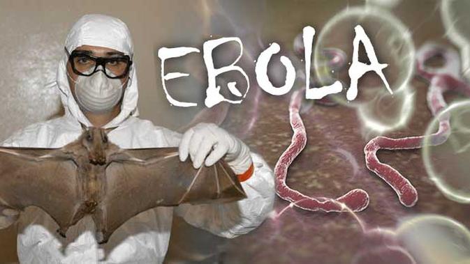 Ilustrasi Virus Ebola (Liputan6.com/Sangaji)