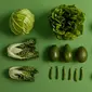 Ilustrasi Sayuran Hijau yang Kaya akan Nutrisi nan Sehat / Freepik by wayhomestudio