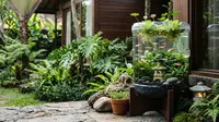Cara Menyulap Galon Bekas Menjadi Kolam Mini Bergaya Jepang, Estetik dan Menenangkan di Sudut Rumah