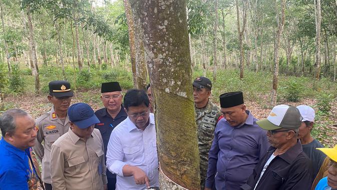 Transmigran Bertaruh Hidup di Kebun Karet, bak Ayam Kehilangan Induk