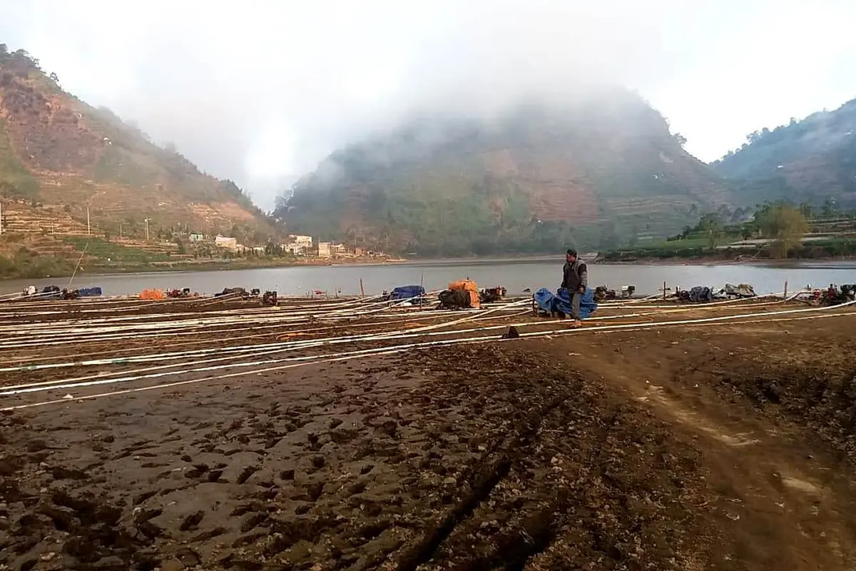 Puluhan mesin sedot air berjejer mengalirkan air Telaga Cebong, ke lahan pertanian warga Dieng, Jawa Tengah. (Foto: Liputan6.com/Muhamad Ridlo)