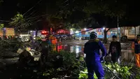 Angin Puting Beliung Terjang Situbondo, Puluhan Rumah Warga Rusak